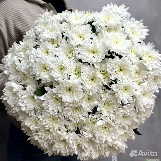 Букет хризантем