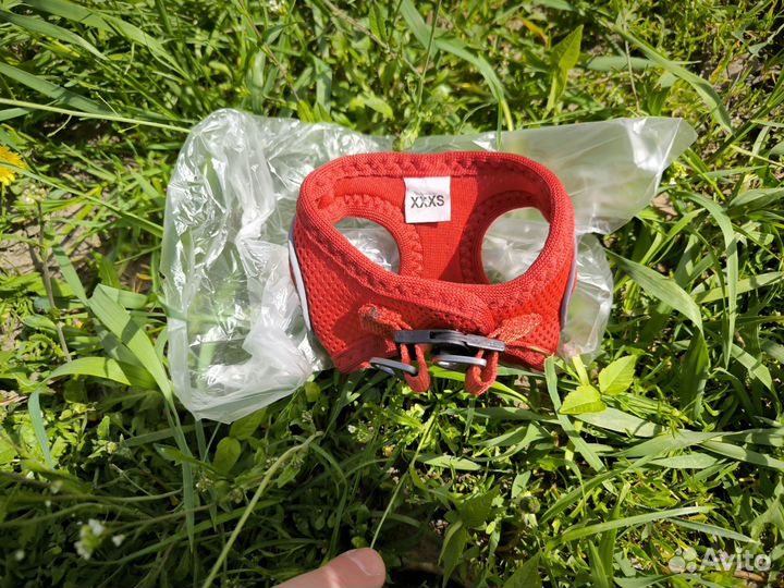 Шлейка для маленькой собаки