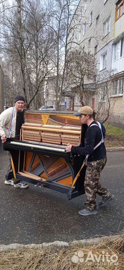 Грузчики и переезды