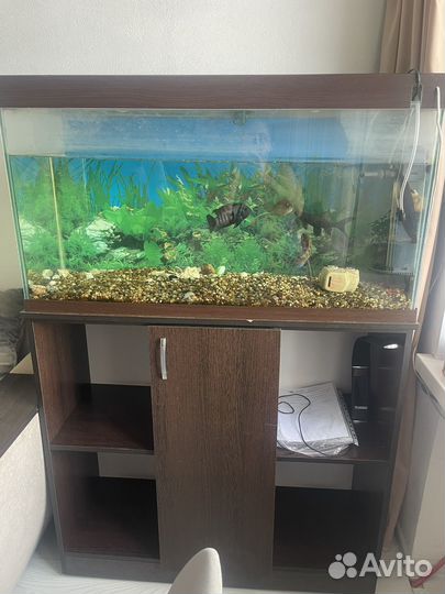 Аквариум с тумбой 150л
