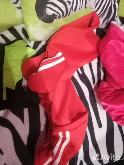 Костюмы для собачки, +шлейка