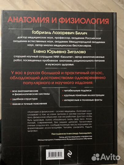 Анатомия и физиология человека