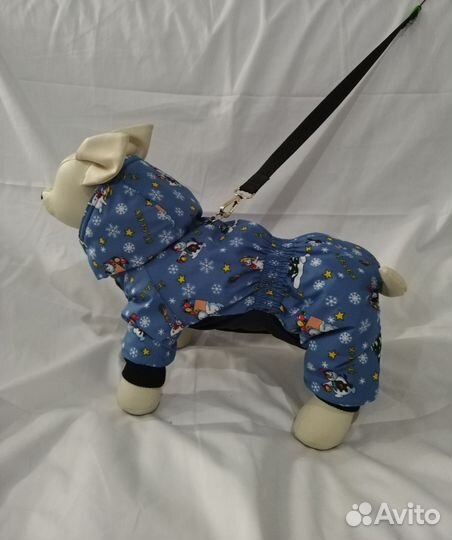 Одежда для собак