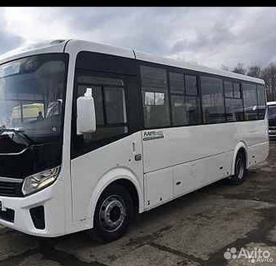 Водитель автобуса