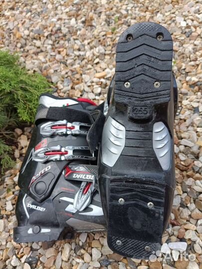 Горнолыжные ботинки dalbello+лыжи