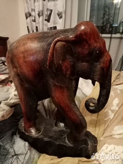 Слон большой