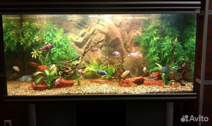 Обслуживание аквариумов