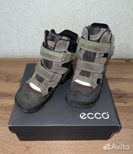 Зимние ботинки ecco