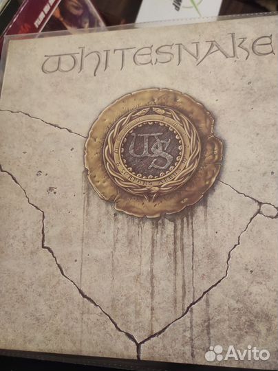 Пластинка whitesnake