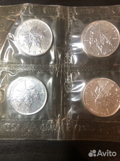 Серебряный канадский доллар цена за 2 шт
