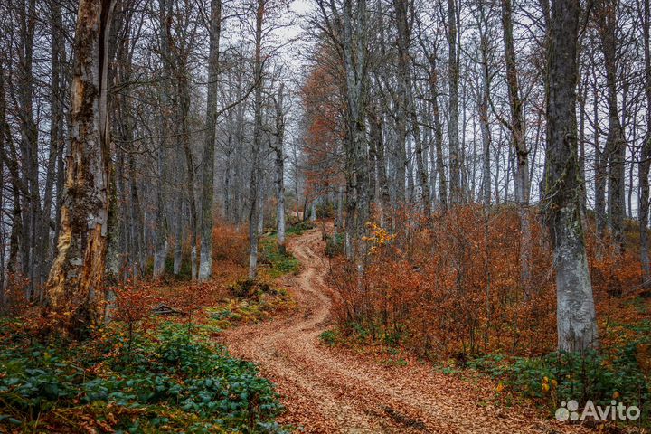 Экскурсии по Абхазии. Джиппинг. Треккинг&Хайкинг
