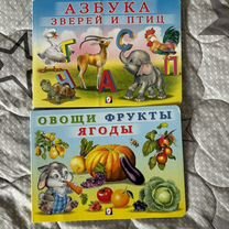 Развивающие книги