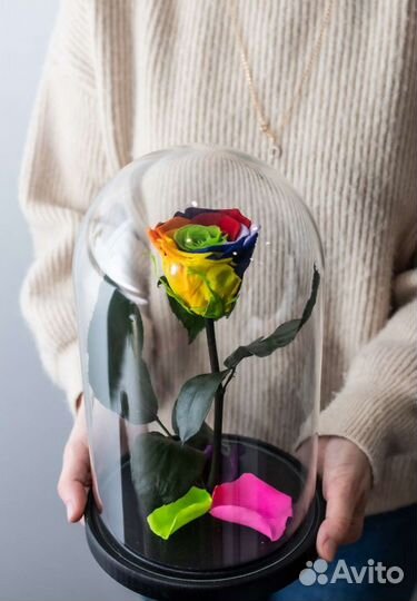 Роза в колбе оптом и в розницу
