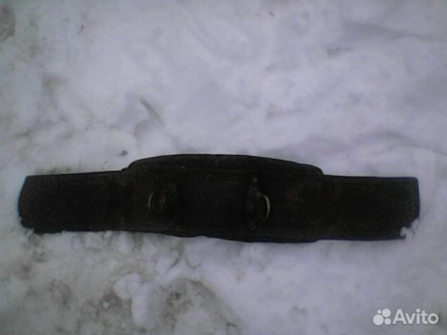 Сиделка для лошади