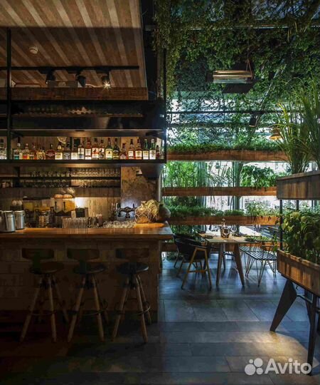 Готовый бизнес. Кофейня. Балийская Легенда
