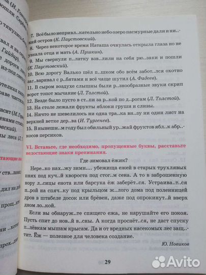 Русский язык тренажёр по орфографии и пунктуации