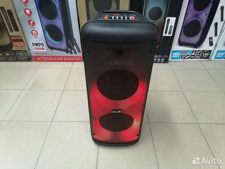 Колонка Eltronic 20-55