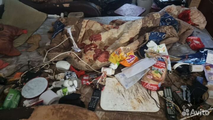 Вынос мусора и антисанитарии перед уборкой