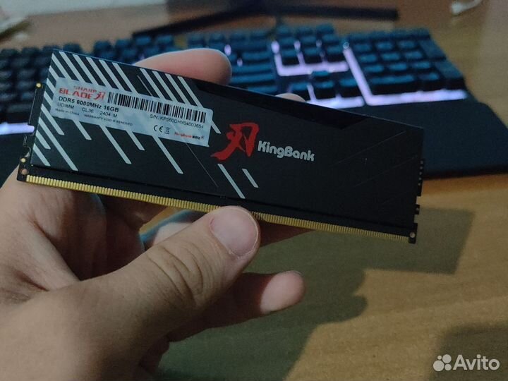 Kingbank ddr5