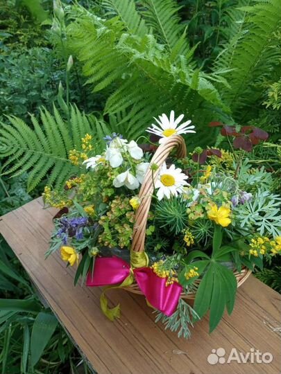 Папоротник