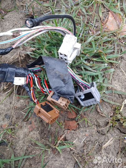 Фишки проводки Nissan Bluebird