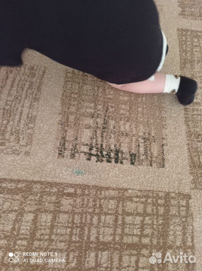 Ковры паласы бу 3 на 2