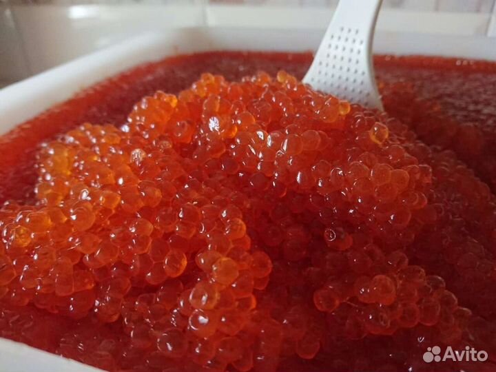 Икра красная горбуша 2023 года