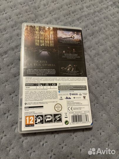 Hogwarts Legacy Nintendo switch