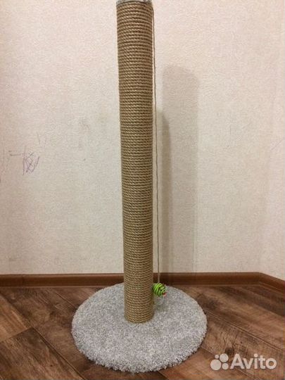 Когтеточка