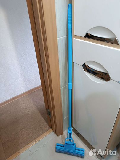 Швабра и щетка для пыли пипидастр