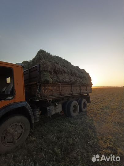 Сено в тюках