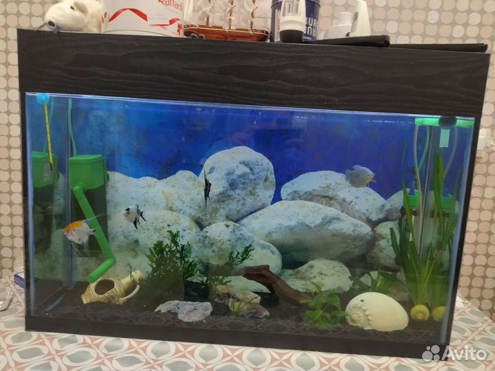 Аквариум