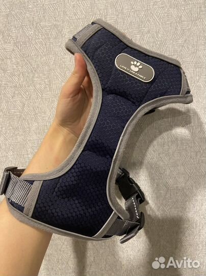Шлейка для собаки средней породы