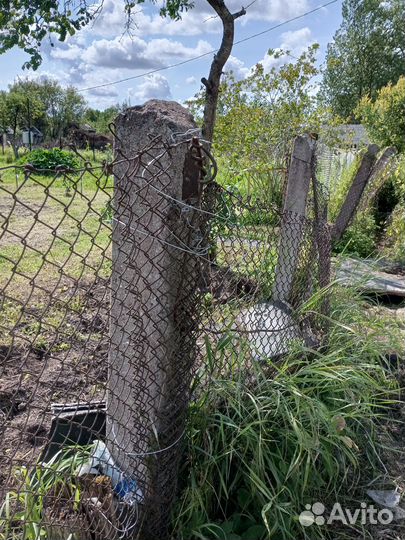 Забор сетка рабица