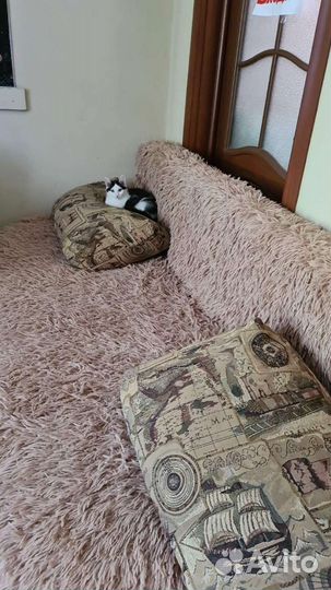 Глаша в добрые руки