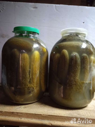 Огурцы соленые бочковые