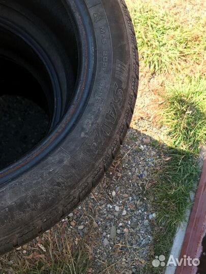 Sava Eskimo S3+ 205/55 R16