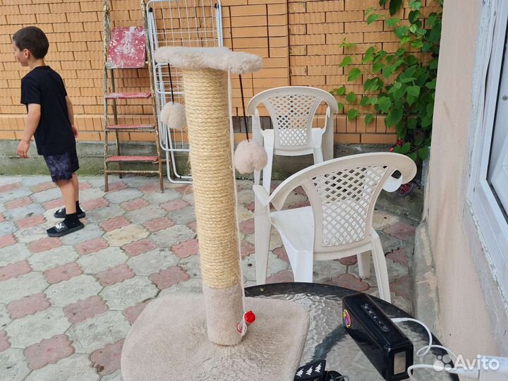 Когтеточка