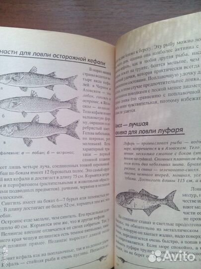 101 способ удачной рыбалки. В. Железнев. 2004г