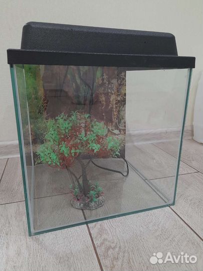 Аквариум 404040