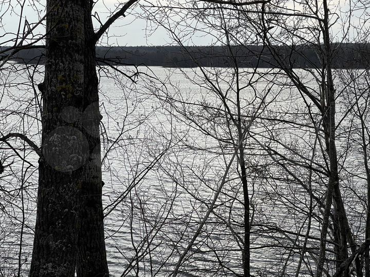 Участок 11,9 сот. (СНТ, ДНП)