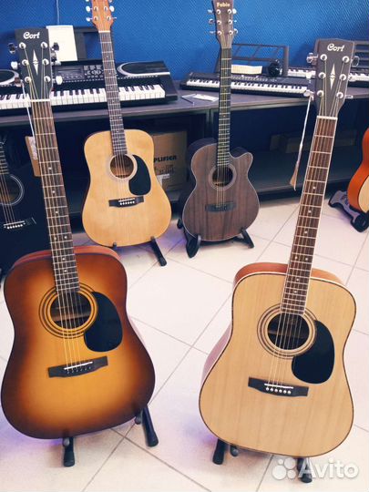 Гитары Cort