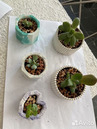 Кашпо для суккулентов/свечей