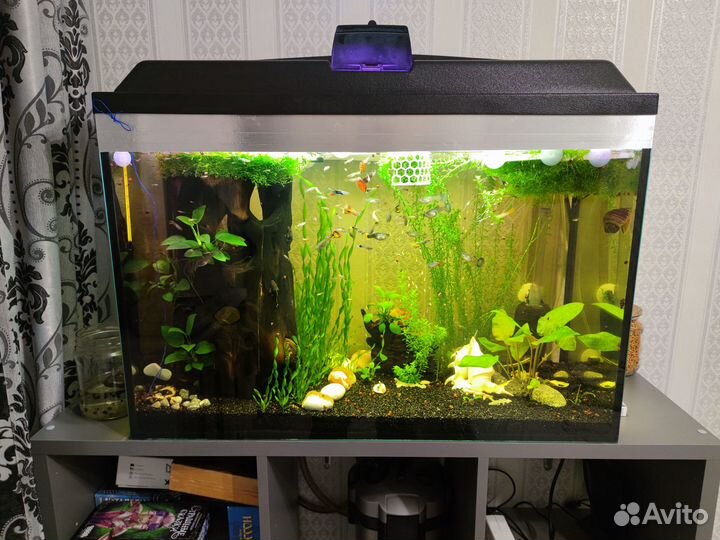 Аквариум