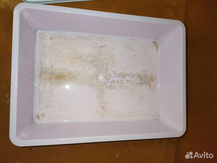 Лоток для кошек