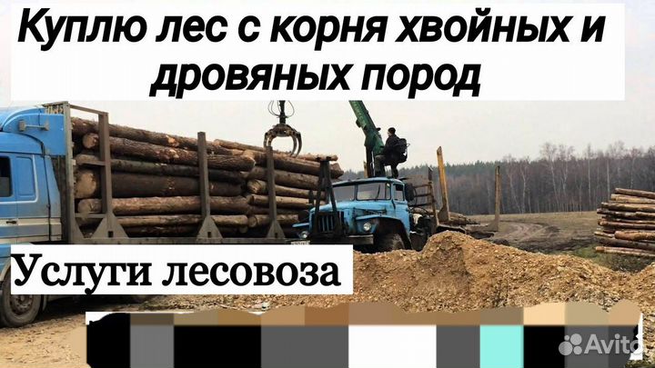 Вывозка леса