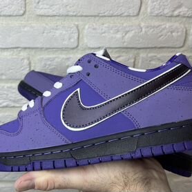 Sb lobster purple clearance