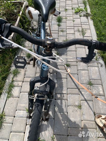 Велосипед forward 24