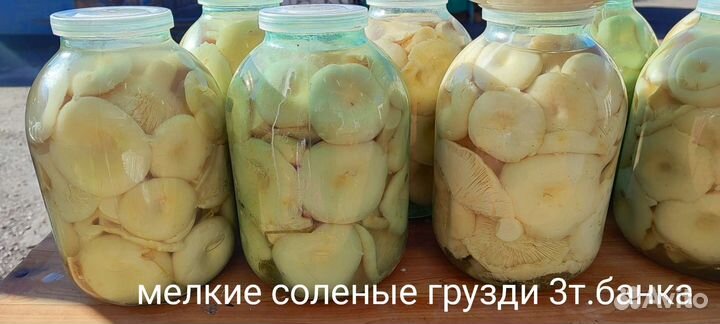 Продам соленые грузди