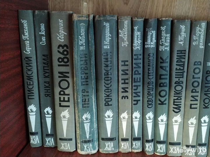 Книги из серии жзл